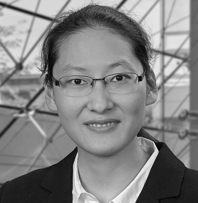 Prof. Dr. Biying Fu